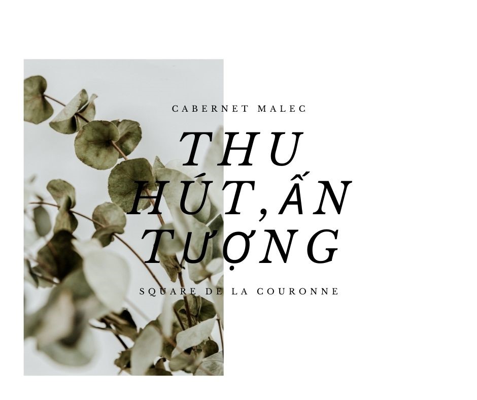 Nêu đặc điểm nổi bật trong thành phần mỹ phẩm